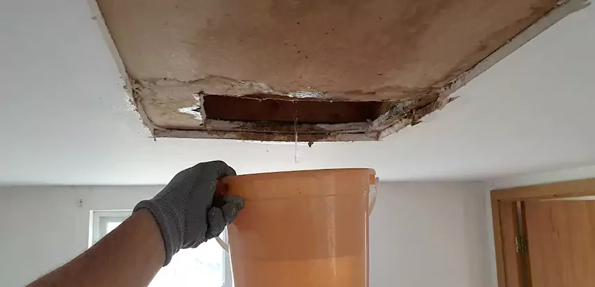 Ceiling Mold Repair Eton